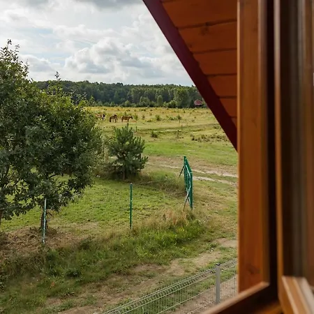 Domek Bursztynowy Vakantiehuis Sasino